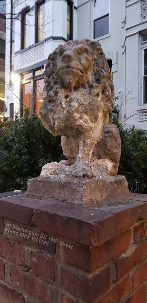 Lion of Washington DC 19th Street NW