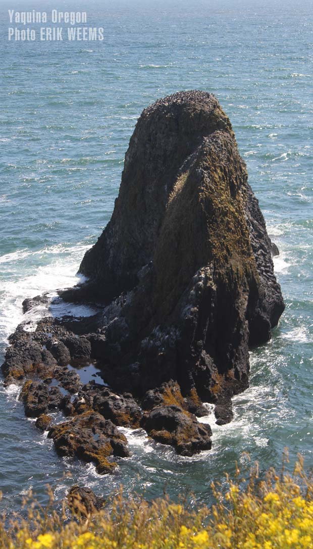Yaquina Coast and the Pacific Ocean